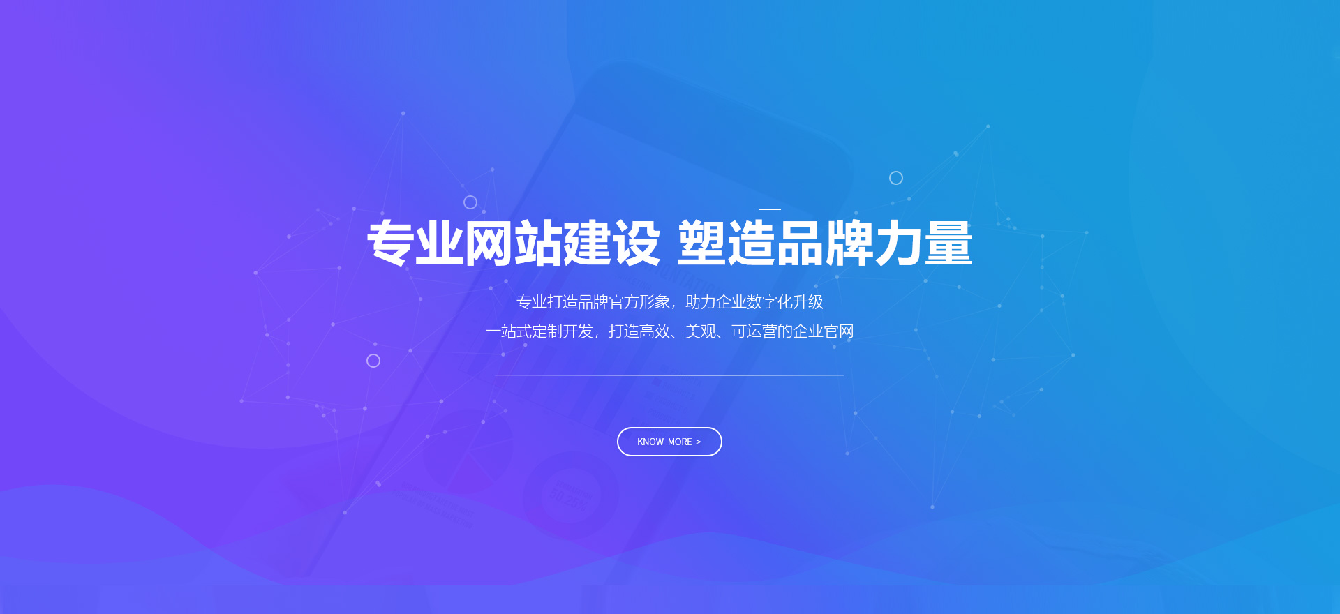 怒江建站-专业网站建设 塑造品牌力量