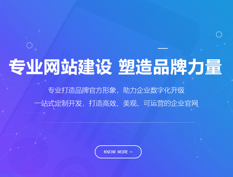 怒江建站-专业网站建设 塑造品牌力量